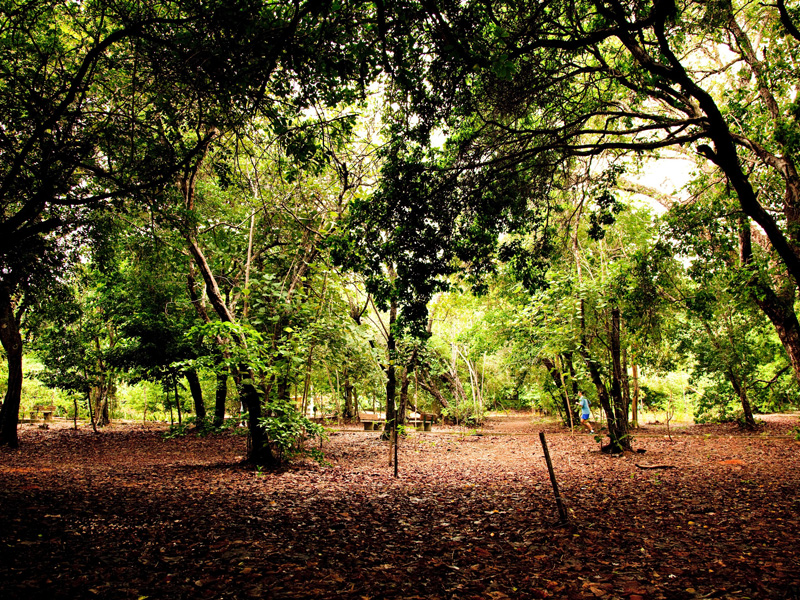 Parque das dunas, Natal-RN