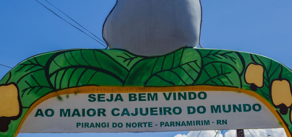 Foto da Placa Seja bem-vindo ao Maior Cajueiro do Mundo, localizada na entrada do ponto turístico.