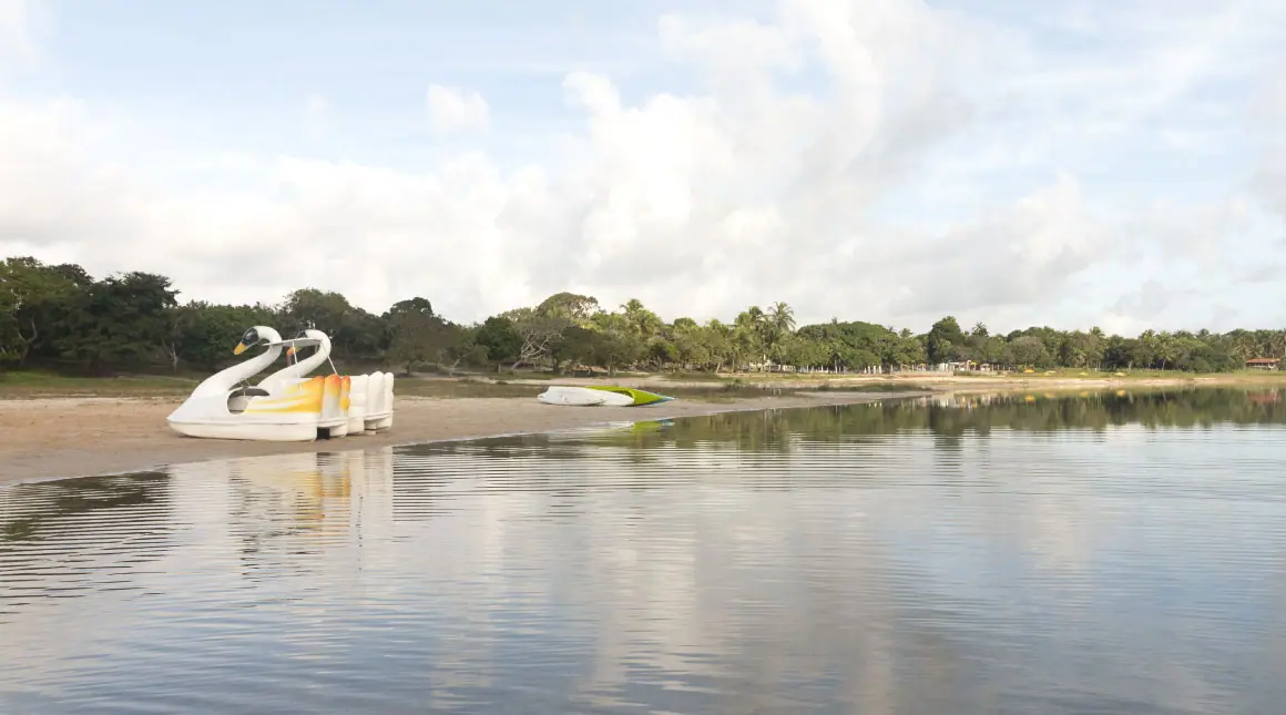 Pedalinhos em formato de cisne na beira da lagoa de Carcará, com águas tranquilas refletindo o céu claro, e uma vegetação verde ao fundo.